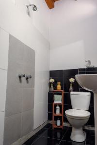 a bathroom with a toilet and a sink at Departamento en Mendoza Biznaga in Mendoza