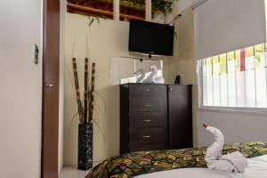 a bedroom with a bed with a tv and a dresser at Departamento en Mendoza Biznaga in Mendoza