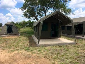 zwei Zelte auf einem Feld neben einem Baum in der Unterkunft Horizon Savannah in Dinokeng Game Reserve