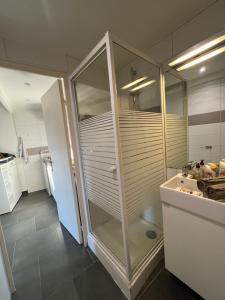 un baño con ducha y lavabo en Cosy Studio hyper centre avec kitchenette & Climatisation, en Carpentras