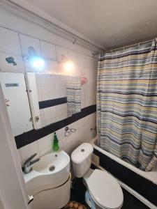 małą łazienkę z toaletą i umywalką w obiekcie Hospedaje Myrtha w mieście Temuco