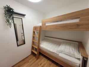 a bedroom with a bunk bed and a mirror at Gerlitzen-Apartments in Kanzelhöhe