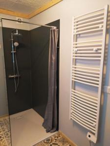 een badkamer met een douche en een douchegordijn bij Petit nid au coeur des pins ! in Matemale