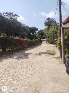 un chemin de terre vide avec des buissons et des arbres dans l'établissement Suíte GUARAMIRANGA no Sítio, à Guaramiranga