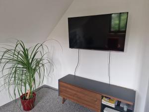 a living room with a tv and a potted plant at Ferienwohnung Zentrum Luckau in Luckau