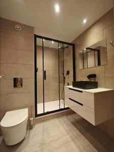 a bathroom with a shower and a toilet and a sink at Chez Carole et Arnaud in Val Thorens