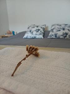 A bed or beds in a room at TEKOHA, Alquiler Temporario en Posadas!