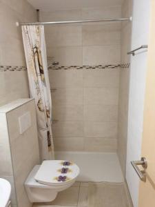 La petite salle de bains est pourvue d'une douche et de toilettes. dans l'établissement Studio agréable avec accès indépendant., à Yverdon-les-Bains