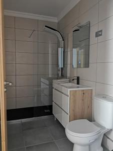 bagno con servizi igienici, lavandino e specchio di A Flor da Rosa a Vila Nova de Foz Coa