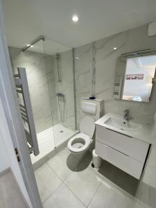 a bathroom with a toilet and a shower and a sink at Esprit Romantique in Mulhouse