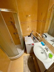a bathroom with a sink and a shower and a mirror at LOVEly Home&Lake in Balatonfüred