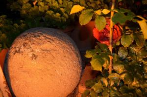 Nourriture dans la maison d'hôtes ou à proximité