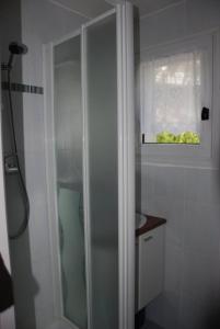 een badkamer met een douche en een wastafel bij Appartement Cosy au cœur de Saint Lary in Saint-Lary-Soulan