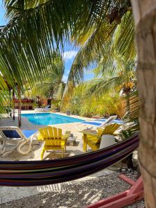 a hammock and chairs next to a swimming pool at Oasis guesthouse, Boutique Style Hotel in Kralendijk