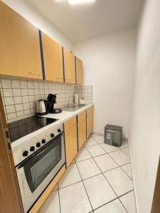 una cocina con un gato sentado en el mostrador en Premium Apartment 2, en Dillingen an der Saar