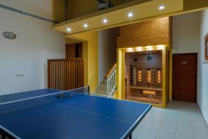 una mesa de ping pong azul en el medio de una habitación en Vila Bonita, en Klek