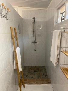 een badkamer met een douche en een ladder bij Joli studio 30m2 rte de St Jean tout confort 