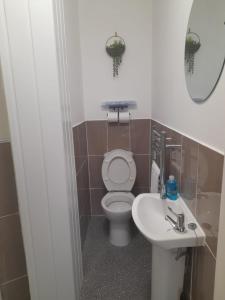 a bathroom with a toilet and a sink at Flat 5 Corner House 1 bedroom in Doncaster