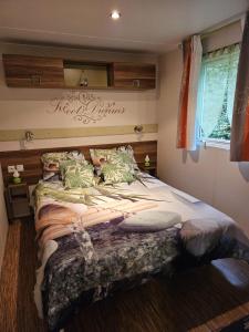 Magnifique Mobil home Lac D'Aiguebelette في Novalaise: غرفة نوم بسرير كبير في غرفة