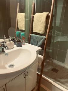 een badkamer met een wastafel en een douche bij Cozy House in Lazarevac