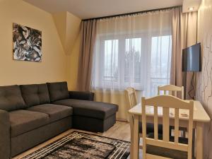 sala de estar con sofá y mesa en Pokoje i Apartament U Ireny en Poronin