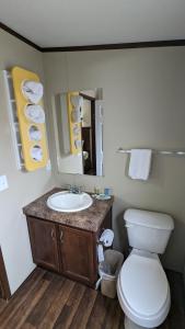een badkamer met een wastafel, een toilet en een spiegel bij Hillcrest Inn & Suites Ozona in Ozona