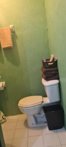 a bathroom with a toilet in a green wall at Hospedaje Real Ixiim Habitación (2) personas in Mineral del Monte