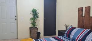 a living room with a couch and two potted plants at Hospedaje Real Ixiim Habitación (2) personas in Mineral del Monte