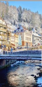 a bridge over a river in front of buildings at Gemütliche Wohnung im Zentrum von Bad Wildbad in Bad Wildbad