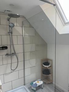 La salle de bains est pourvue d'une douche avec une porte en verre. dans l'établissement Les Avatars, à Saint-Amand-Montrond