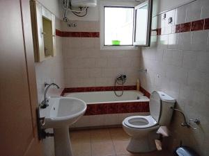 a bathroom with a toilet and a sink and a tub at Lampros apartments in Loutra Edipsou +17 photos