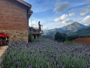 una estatua de una mujer parada en un edificio en un campo de flores púrpuras en Valle Piemonte, en Divisa