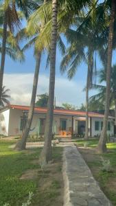 une maison avec des palmiers devant elle dans l'établissement oasis natural en un paraiso tropical, à El Espino