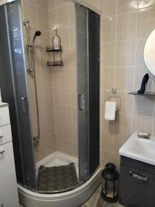 La salle de bains est pourvue d'une douche et d'un lavabo. dans l'établissement Apartmani Jozić, à Garešnica