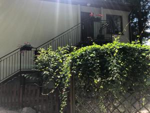 Gallery image of Domek pod świerkami 3 in Skorzęcin