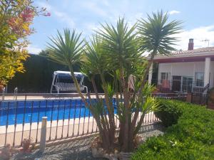Fotografie z fotogalerie ubytování Chalet con piscina en Liria v destinaci Lliria