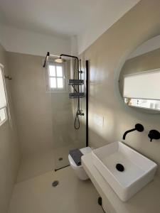 La salle de bains est pourvue d'un lavabo, de toilettes et d'une douche. dans l'établissement Akrolithos studios, à Stelida
