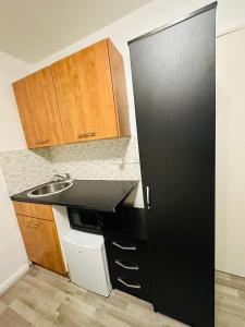 a kitchen with a black refrigerator and a sink at Premium Studio Flat 08 in Central London in London