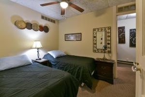 加利納的住宿－Main Street two bedroom in Galena-Great location!，一间卧室配有两张床、镜子和风扇