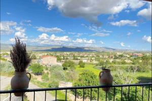 two vases sitting on a balcony with a view at Familiar Villae in Capadoccia Turkey in Avanos