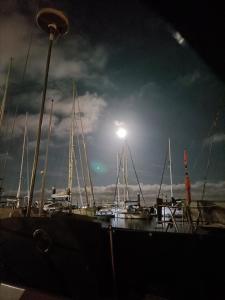 a group of boats docked in a harbor at night at New Wave "The best place" in Figueira da Foz