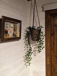 a plant in a basket hanging on a wall at Gorgeous countryside cabin in Lyminge
