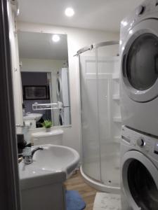 ein Badezimmer mit einer Dusche, einem Waschbecken und einer Waschmaschine in der Unterkunft Healing Touch Holistic Living Space in Amherst