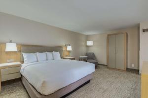 Katil atau katil-katil dalam bilik di DoubleTree by Hilton Chandler Phoenix, AZ