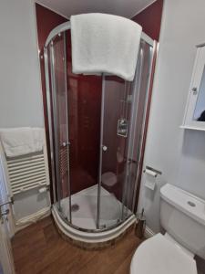 y baño con ducha y puerta de cristal. en Teviotside Travel Inn Ltd, en Hawick