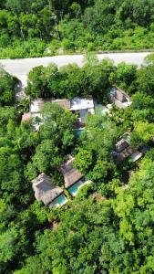 una vista aérea de un jardín con árboles y una piscina en Aldea Coba An Escape Boutique Experience, en Cobá