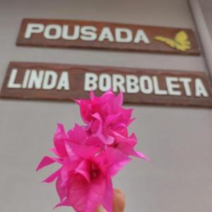una persona sosteniendo una flor rosa delante de dos letreros de la calle en Pousada Linda Borboleta, en Conservatória