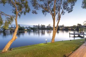 mit Blick auf einen See mit zwei Bäumen und einem Dock in der Unterkunft Noosa Entrance Waterfront Resort in Noosaville