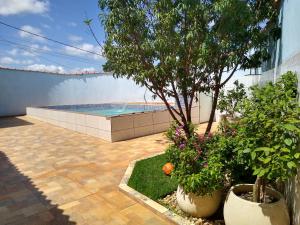 una piscina con un árbol y algunas plantas en Canto Almeida Olimpia, en Olímpia