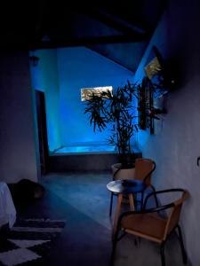 ein dunkler Raum mit einem Tisch und einer Topfpflanze in der Unterkunft Pousada Chalés da Lua in Munhoz